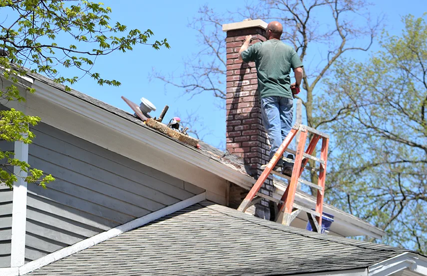 Chimney & Fireplace Inspections Services in Prattville, AL